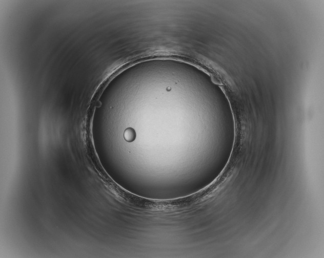 X0000116681170200912141426