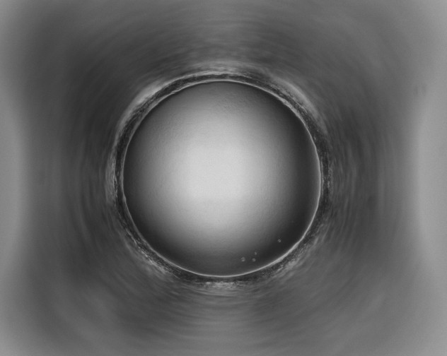 X0000116681172200912141426