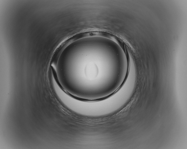 X0000116681173200912141426