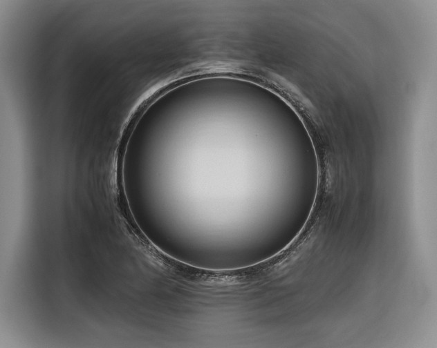 X0000116681174200912141426