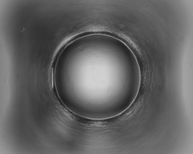 X0000116681175200912141426