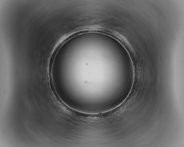 X0000116681176200912141426