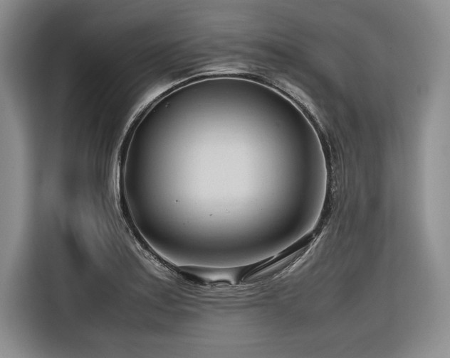 X0000116681179200912141426