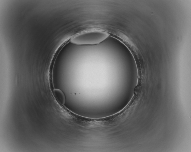X0000116681181200912141426