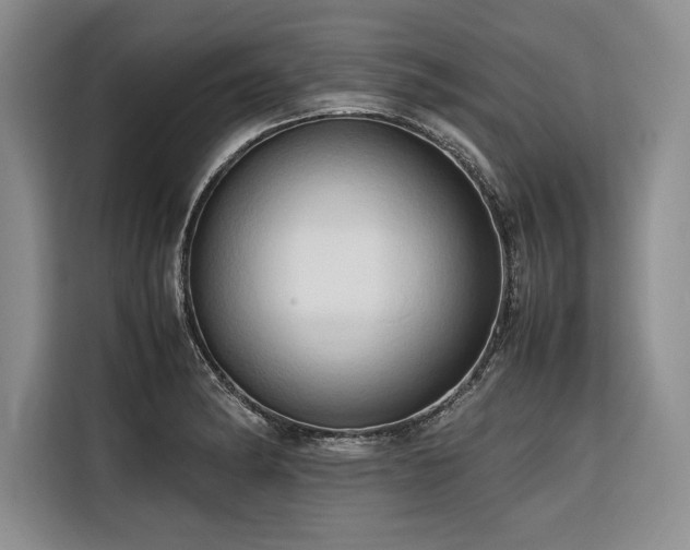 X0000116681182200912141426