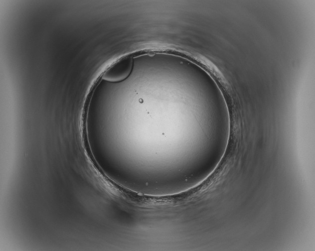 X0000116681183200912141426