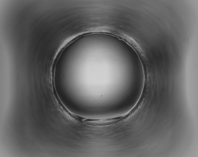 X0000116681184200912141426
