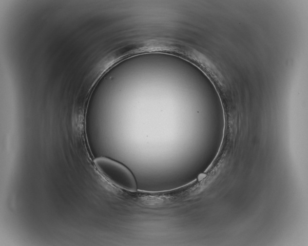 X0000116681185200912141426