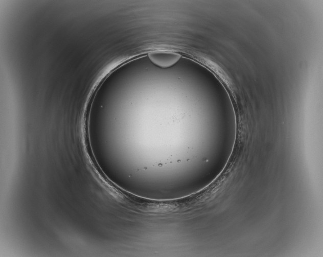 X0000116681187200912141426