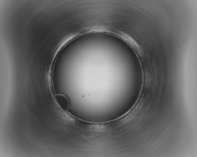 X0000116681190200912141426