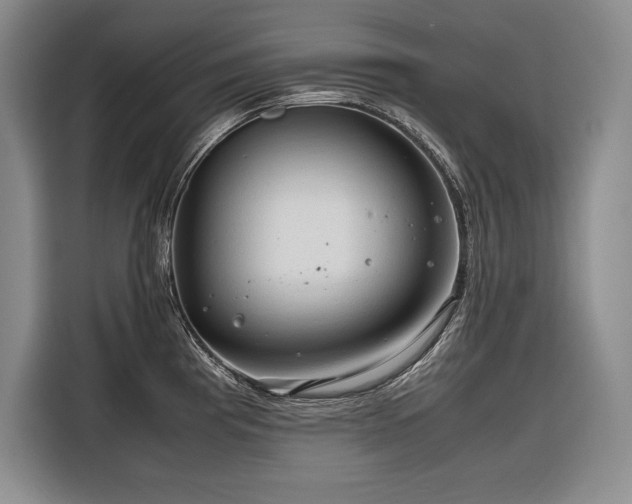 X0000116681193200912141426
