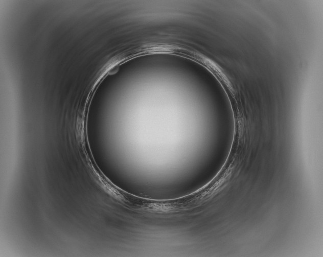 X0000116681194200912141426