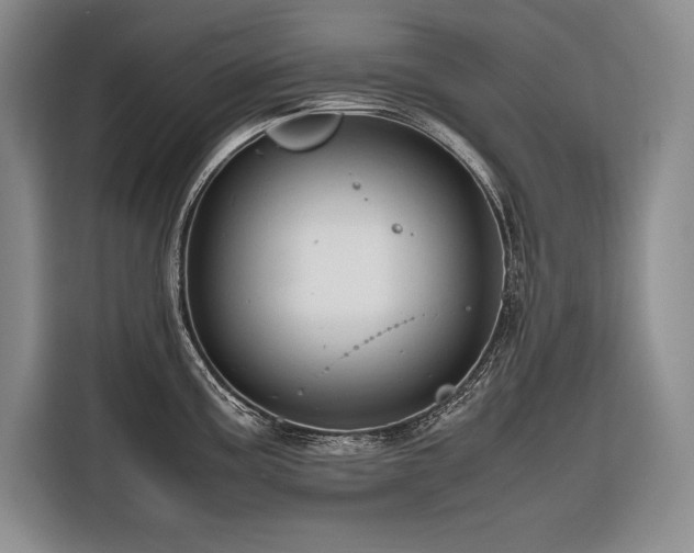 X0000116681195200912141426