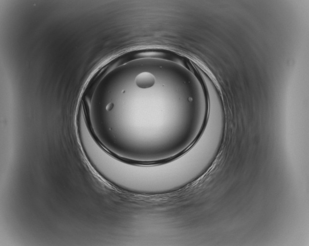 X0000116681197200912141426
