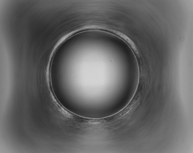 X0000116681199200912141426