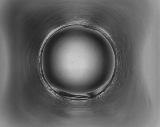 X0000116681200200912141425