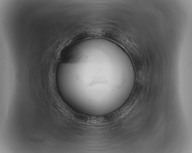 X0000116681201200912141425