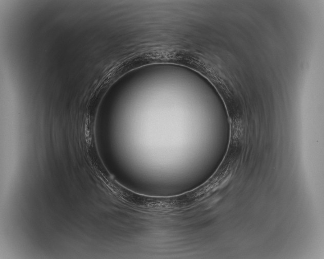 X0000116681202200912141425