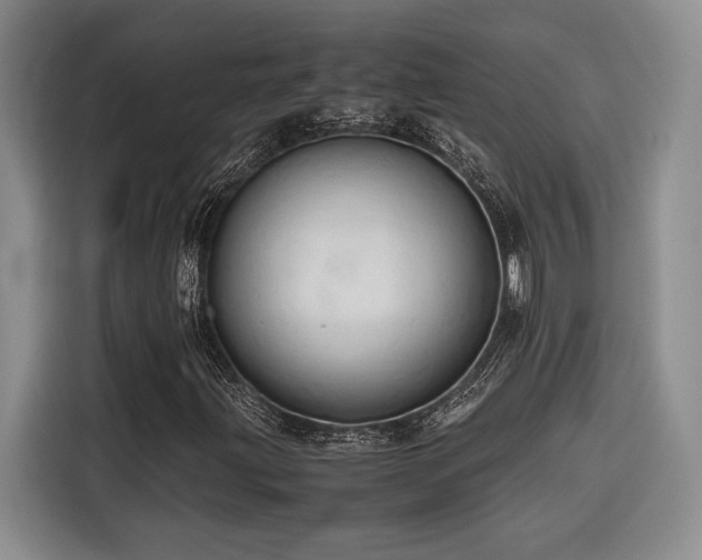 X0000116681203200912141425