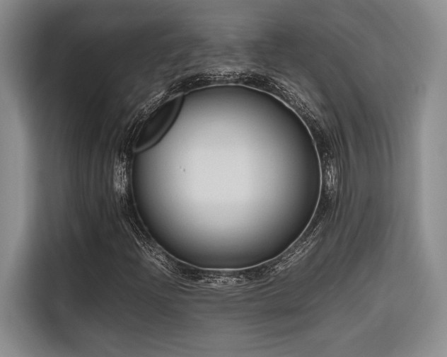 X0000116681204200912141425