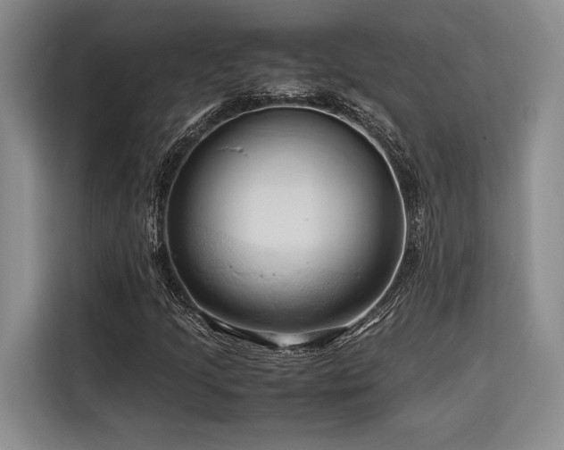 X0000116681205200912141425