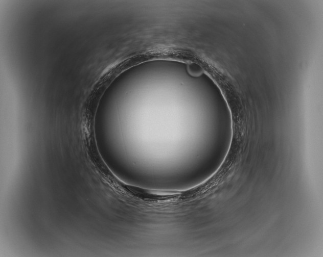 X0000116681206200912141425