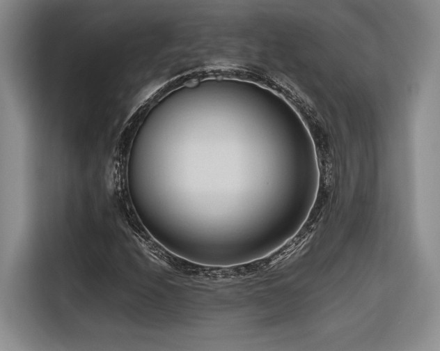 X0000116681208200912141425