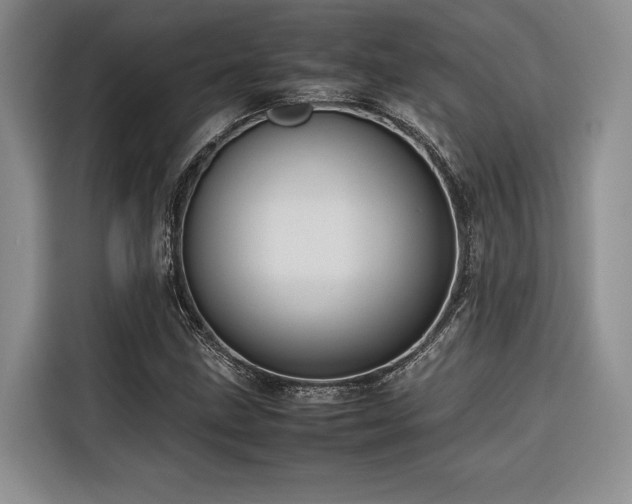 X0000116681211200912141425