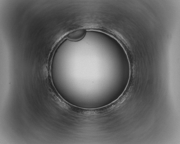 X0000116681212200912141425