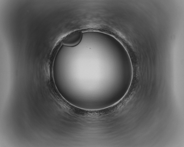 X0000116681214200912141425