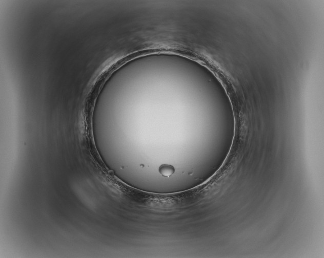 X0000116681215200912141425