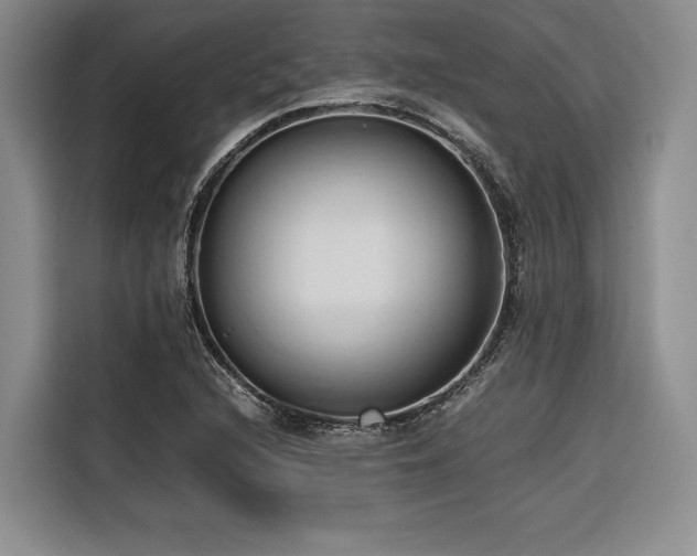 X0000116681216200912141425