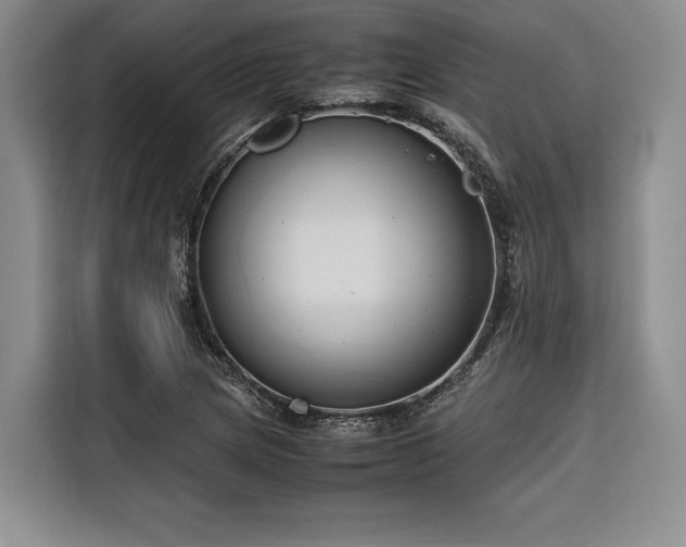 X0000116681217200912141425