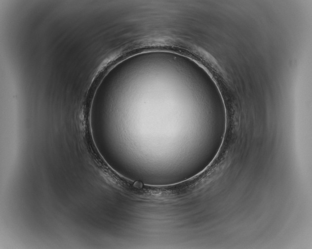 X0000116681218200912141425