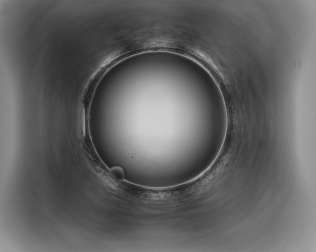 X0000116681219200912141425
