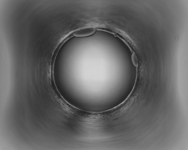X0000116681220200912141425