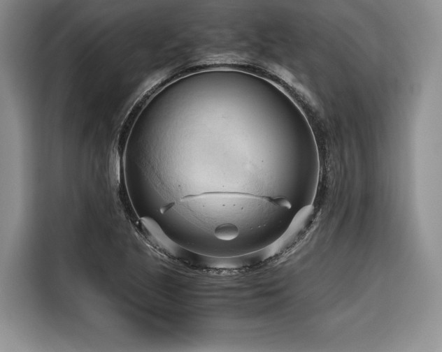 X0000116681221200912141425