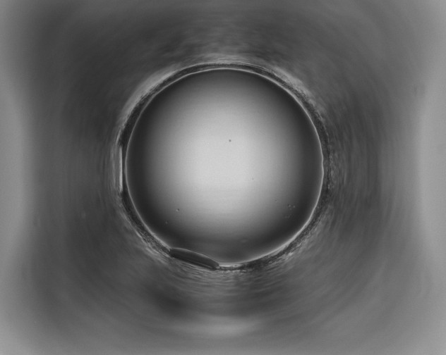 X0000116681223200912141425