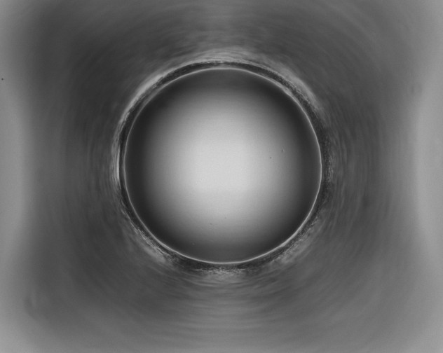 X0000116681224200912141425