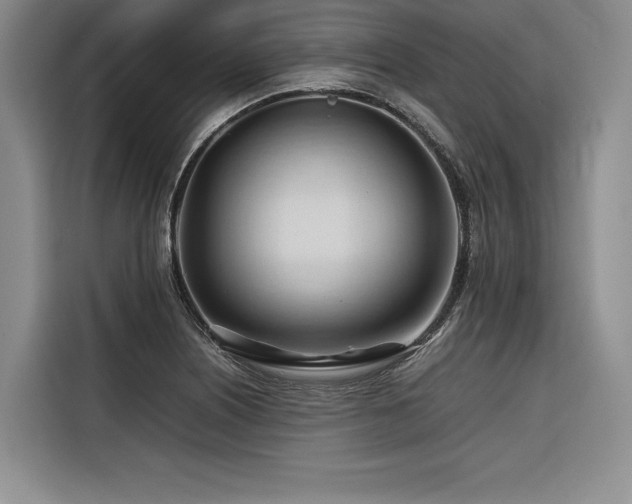 X0000116681226200912141425
