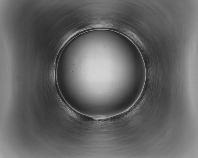 X0000116681228200912141425