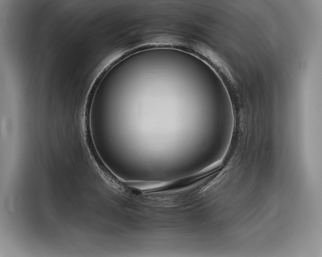 X0000116681229200912141425