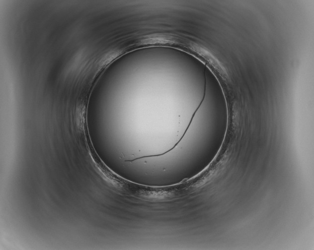 X0000116681233200912141425