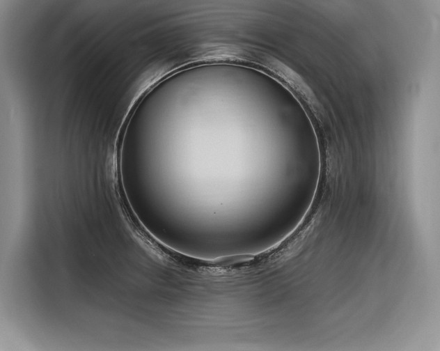 X0000116681234200912141425