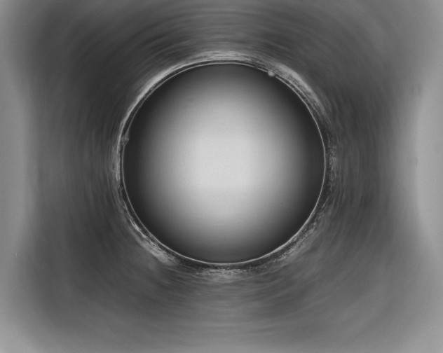 X0000116681236200912141425