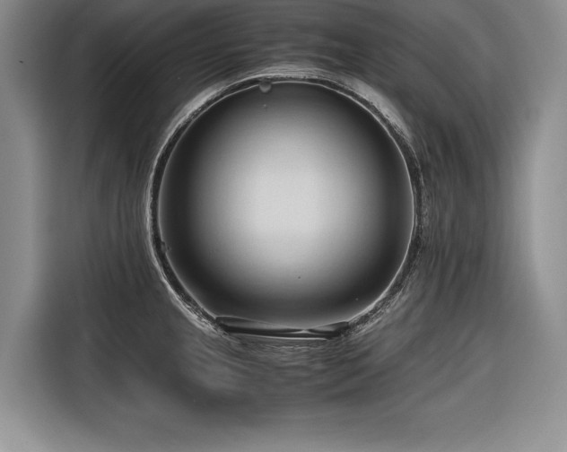 X0000116681237200912141425