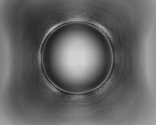 X0000116681238200912141425
