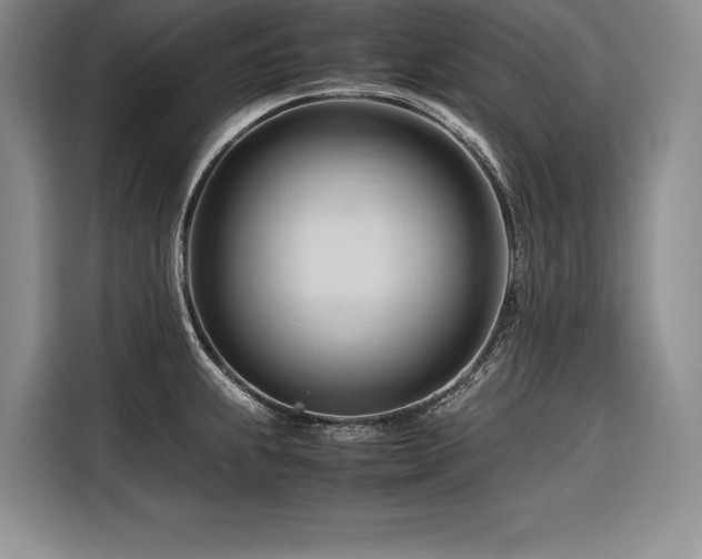 X0000116681239200912141425