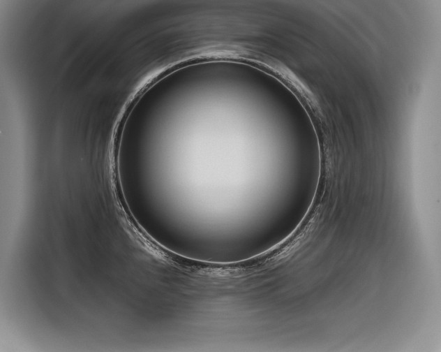 X0000116681240200912141425