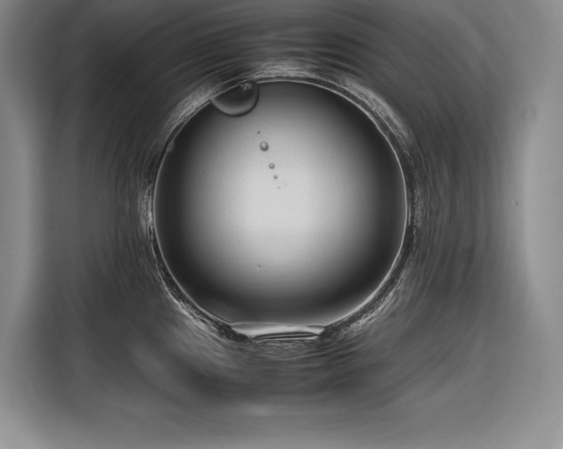 X0000116681241200912141425
